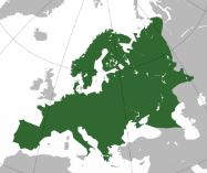 Our Days News: Europe’s Social fabrics challenged – From Palestine to the Baltic States’ Human Rights