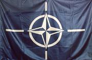 Will NATO Prove Itself in Afghanistan?