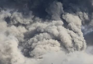 The Politics of the Gaza War: A Brief