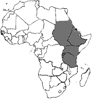 Combating Terrorism in East Africa: An Economic Approach