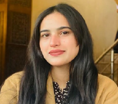 Pakistan—is it prepared for the digital revolution?