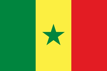 Francophone Pandemic in Africa