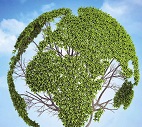 Sustainable Development: The role of NGOs