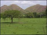 Chávez and Morales Take On Sweeping Measures at Land Reform